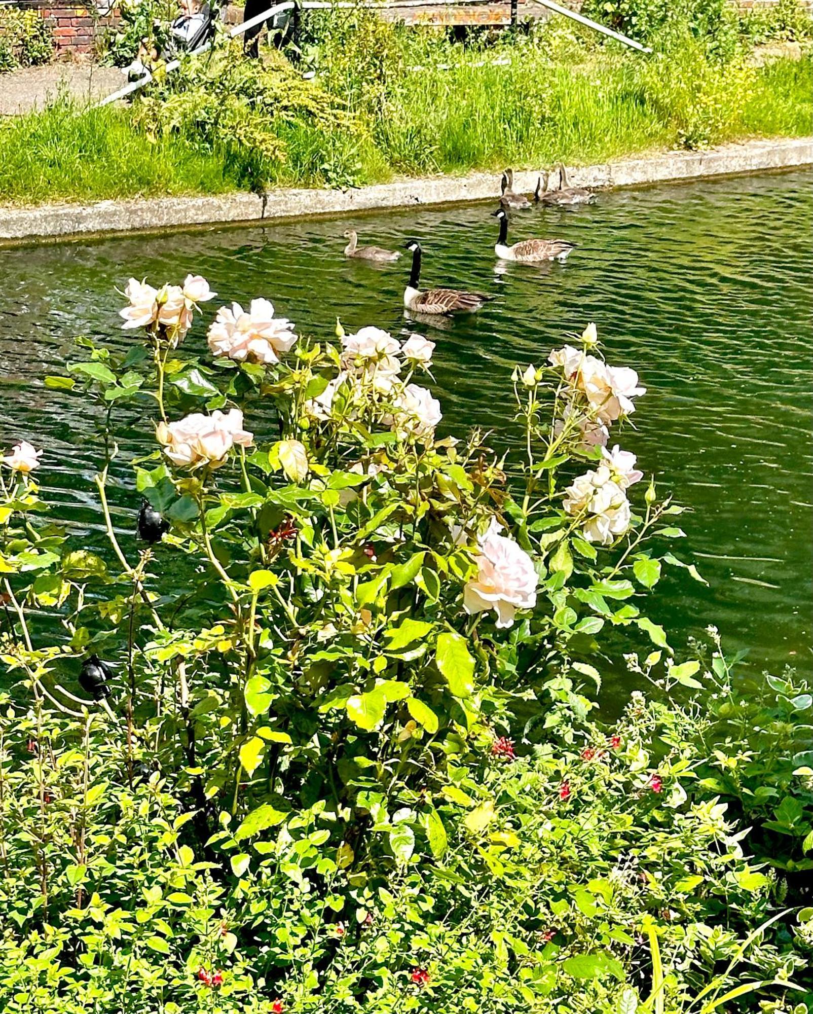 Amazing Location - City Of London- 2 Bedroom Stunning Canal View House With Private Garden,Parking & Balcony Eksteriør billede